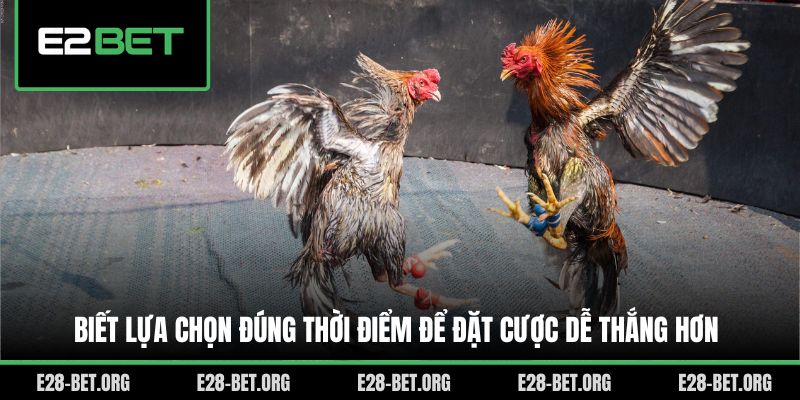 Biết lựa chọn đúng thời điểm để đặt cược dễ thắng hơn Biết lựa chọn đúng thời điểm để đặt cược dễ thắng hơn