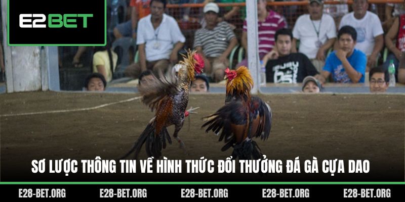 Sơ lược thông tin về hình thức đổi thưởng đá gà cựa dao Sơ lược thông tin về hình thức đổi thưởng đá gà cựa dao
